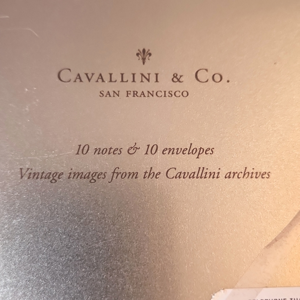 Cavallini & Co Thank You Cards-- 10 Cards & Envelopes In Metal Tin - Picture 7 of 7